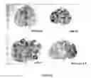 Fig. 07 - Expression of Foreign Sequences in Plants Using Trans-Activation System