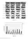 Fig. 06 - Double strand RNA-mediated RNA interference through feeding detrimental to larval (gypsy moth)