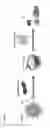 Fig. 02 - METHODS OF PRODUCING LIPIDS