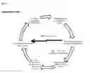 Fig. 02 - Compositions and methods for the detection and analysis of 