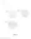 Fig. 05 - Evaporation Crucible and Evaporation System