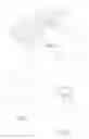 Fig. 02 - PILING COVER