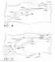Fig. 08 - Turbine engine thrust reverser stop