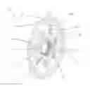 Fig. 01 - BICYCLE BRAKE DISC