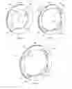 Fig. 03 - Piston sealing ring assembly having a gap cover element
