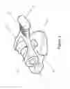 Fig. 02 - Tripod foot