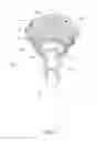 Fig. 02 - Landscape lighting assembly having a cylindrical gobo