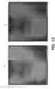 Fig. 15 - Apparatus and methods for high-speed and long depth range imaging using optical coherence tomography