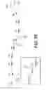 Fig. 20 - Apparatus and methods for high-speed and long depth range imaging using optical coherence tomography