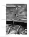 Fig. 01 - Cooking thermometers and multi-function cooking tools having count-up timers