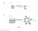 Fig. 04 - Composite Nanoparticle Structures for Chemical and Biological Sensing