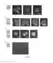 Fig. 14 - Composite Nanoparticle Structures for Chemical and Biological Sensing