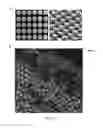 Fig. 15 - Composite Nanoparticle Structures for Chemical and Biological Sensing