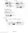 Fig. 07 - METHOD FOR IDENTIFYING BIOACTIVE PROTEIN, AND BIOACTIVE PROTEIN OBTAINED BY SAID METHOD