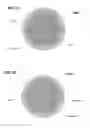 Fig. 07 - Passive aligning optical coupler array