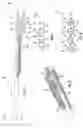 Fig. 02 - Optical fiber distribution system with connectorized tether