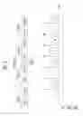 Fig. 06 - Memory system and operating method thereof