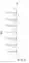 Fig. 07 - Memory system and operating method thereof