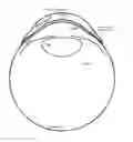 Fig. 01 - Eye-mounted authentication system