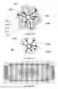 Fig. 07 - Organic learning
