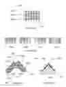 Fig. 12 - Organic learning