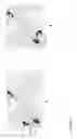 Fig. 14 - Method and system for obtaining pair-wise epipolar constraints and solving for panorama pose on a mobile device