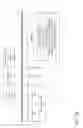 Fig. 10 - TRANSPARENT PRIZE COMBINED PROPOSITION WAGERING SYSTEM