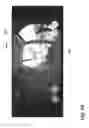 Fig. 63 - NEIGHBORHOOD ALERT MODE FOR TRIGGERING MULTI-DEVICE RECORDING, MULTI-CAMERA MOTION TRACKING, AND MULTI-CAMERA EVENT STITCHING FOR AUDIO/VIDEO RECORDING AND COMMUNICATION DEVICES