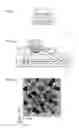 Fig. 02 - Wavelength conversion member and light emitting device
