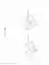 Fig. 320 - Reproduction method for reproducing contents