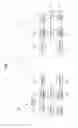 Fig. 02 - Method for receiving signal in wireless communication system and apparatus therefor