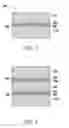 Fig. 02 - Primer composition and copper foil substrate using the same
