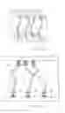 Fig. 02 - TRACE ANYWHERE INTERCONNECT