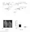 Fig. 06 - Compositions and methods for modulating immunity in plants