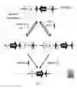 Fig. 02 - Conditional rodent Acvr1 mutant gene