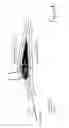Fig. 07 - Planer board accessory