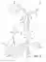 Fig. 04 - Portable treestand and climbing stick system