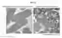 Fig. 16 - ANTIMICROBIAL COMPOSITION