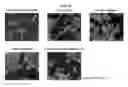 Fig. 17 - ANTIMICROBIAL COMPOSITION