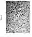 Fig. 02 - POLYMERIC TOPICAL ANTISEPTIC COMPOUND AND METHOD OF USE