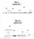 Fig. 02 - Method for producing panigacci
