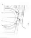 Fig. 45 - Food forming concept