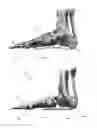 Fig. 02 - CAMBERED SOLE