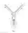 Fig. 02 - Smart zipper and garment
