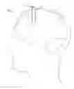Fig. 02 - Cannula with proximally mounted camera