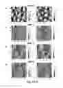 Fig. 08 - Methods of diagnosing diseases of mucosal surfaces