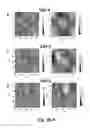 Fig. 09 - Methods of diagnosing diseases of mucosal surfaces