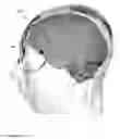 Fig. 05 - Method, system and apparatus for surface rendering using medical imaging data