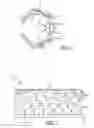 Fig. 02 - Method for removing colored spots to whiten the eye