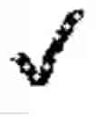 Fig. 02 - Sustained release cyclosporine-loaded microparticles